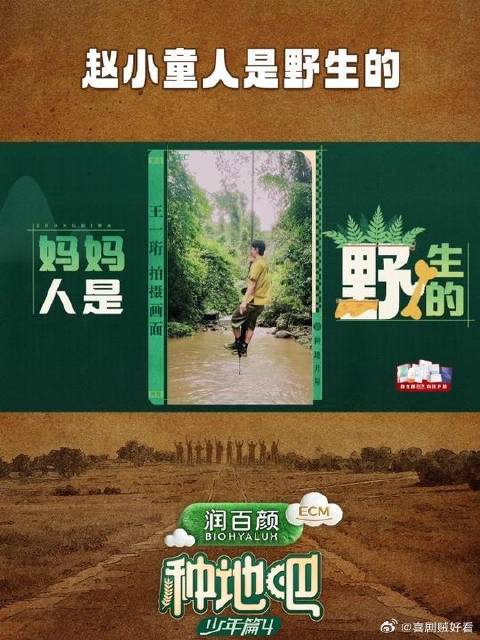 赵小童人是野生的