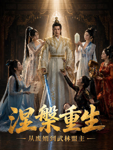 短剧·涅槃重生：从废婿到武林盟主-第27集-沧澜元年，剑神燕啸斩杀血魔后武功尽废，淡泊名利拒赏归隐。不料退婚之日惨遭下毒