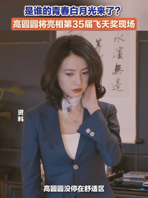 高圆圆亮相飞天奖与实力派同框