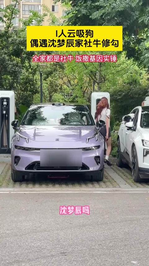 才发现沈梦辰小狗也是社牛buff叠满～有代代相传那味儿了！全新领克20
