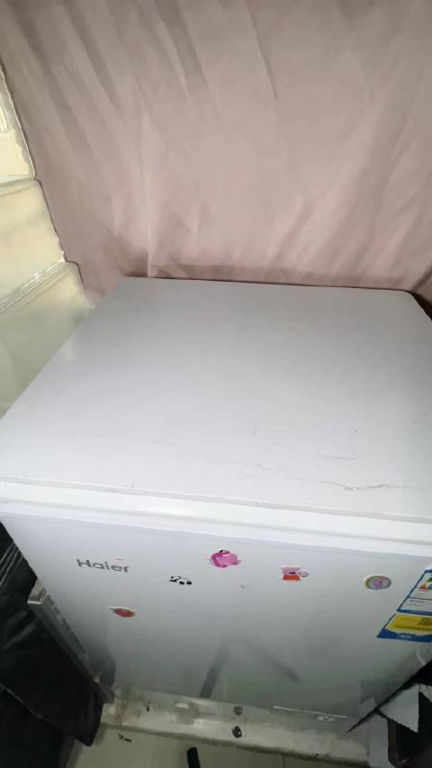 龙猫低温会变色，这是真的还是假的？
