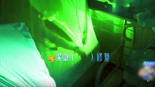 亚马孙雨林树屋里还有树蛙！林依晨直接上手抓走，周冬雨看傻了！
