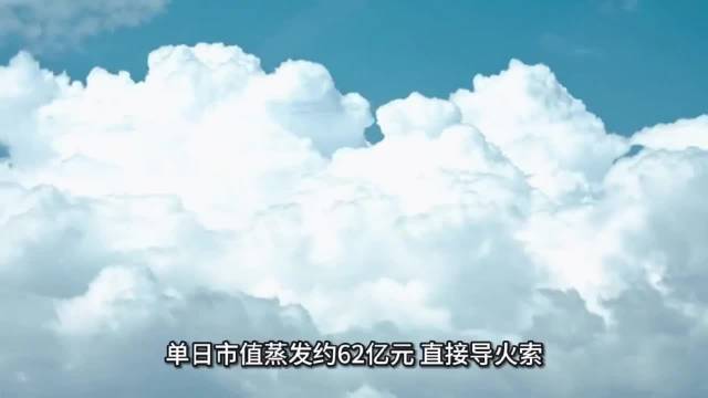 两日市值蒸发近118亿，资本市场用剧烈波动…