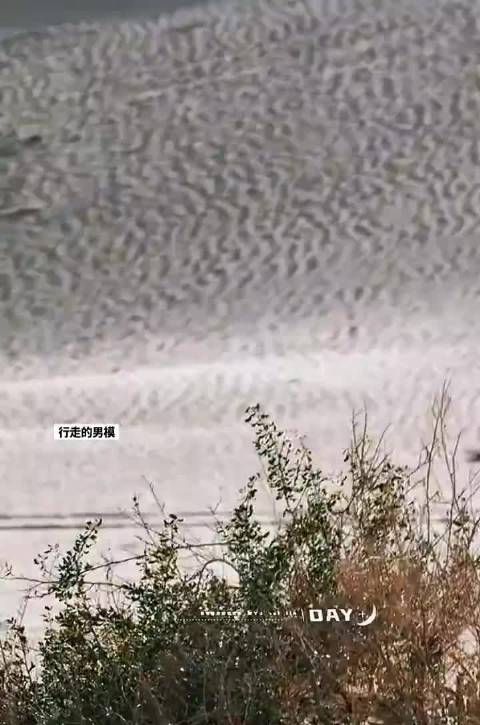 刘耀文宇宙闪烁请注意