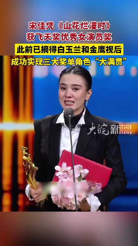 宋佳凭同一角色包揽电视三大奖