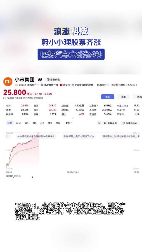 蔚小小理股票齐涨
