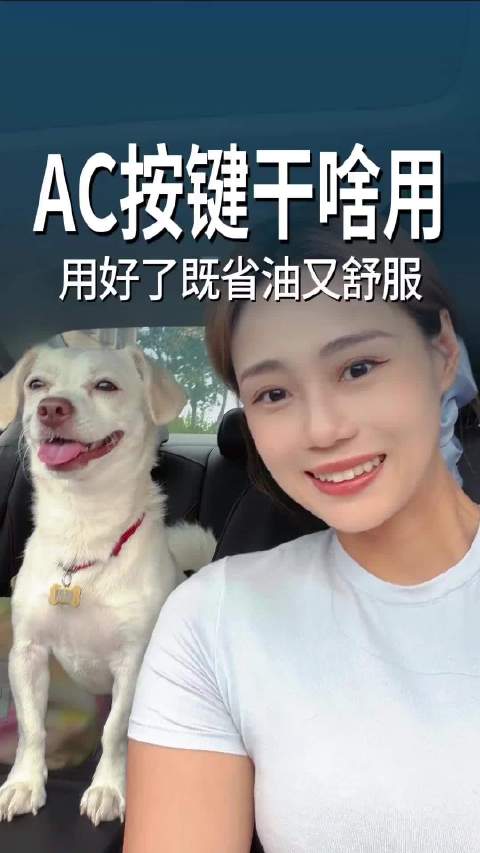 车上的AC按键要是用好了，开车既省油又舒服！