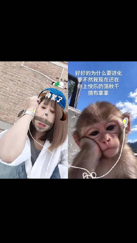 只有刚刚争气的津门虎让我在这一整天开心了一下