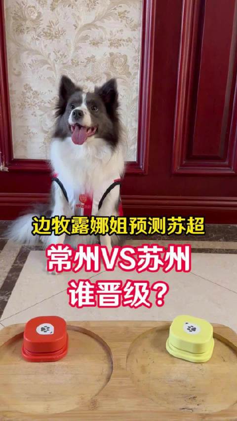 苏超常州vs苏州猜猜谁晋级