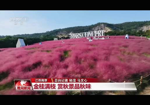 华晨宇南京演唱会可以打卡的粉黛营地上央视了！