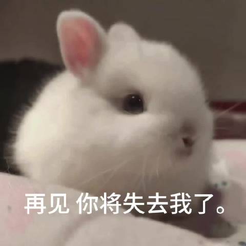 再见 你将失去我了