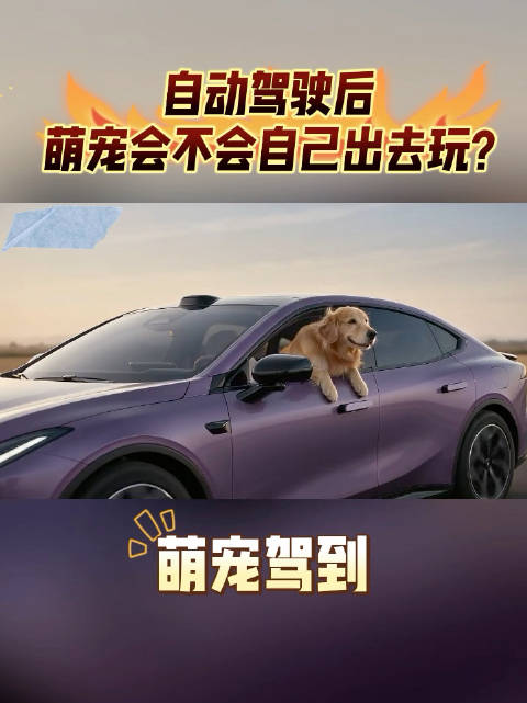 自动驾驶之后，萌宠会不会自己出去玩？