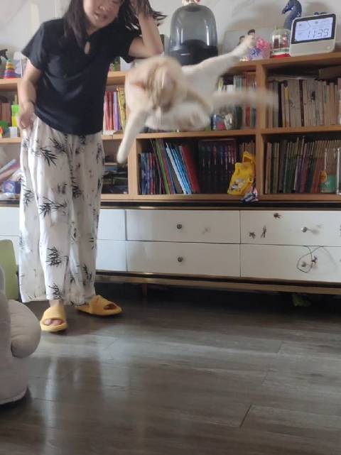 20261011 一起来看《功夫熊猫之把熊删掉》