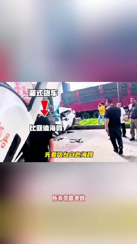实测见真章，比亚迪海鸥安全品质经得起推敲