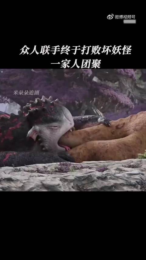众人联手终于打败坏妖怪，一家人团聚