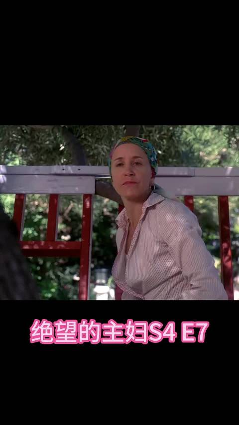 来自Lynette的血脉压制 绝望主妇｜高分美剧｜家庭伦理