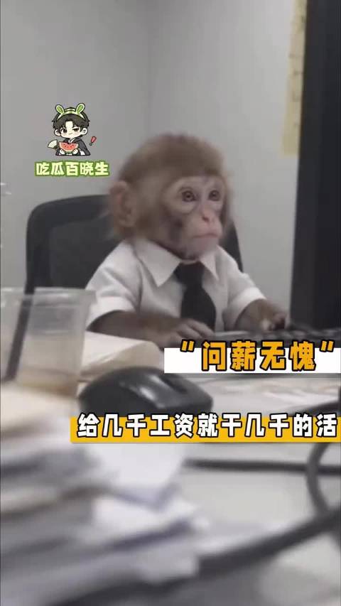花香蕉的钱怎么可能雇的来齐天大圣 工资