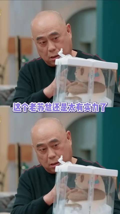 苏醒还是太懂老苏总了！