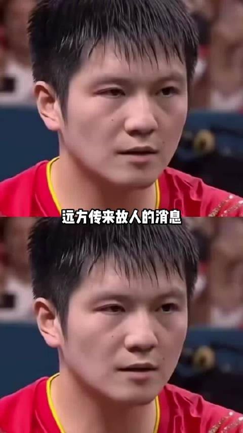 远方传来故人的消息，樊振东我们为你感到开心！