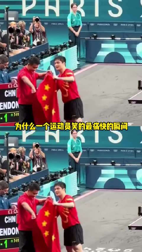 樊振东/樊小胖 /乒乓球