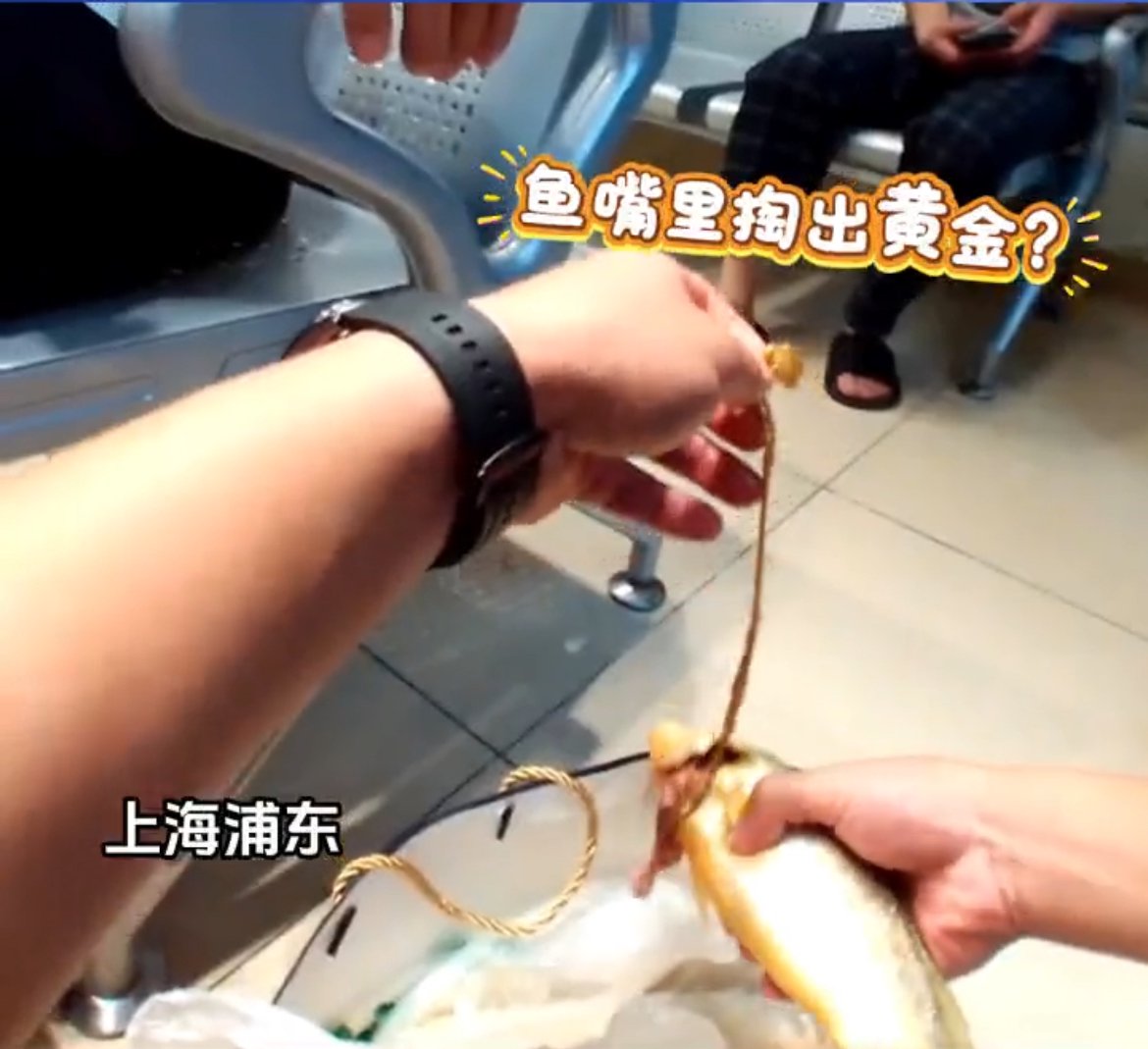 小黄鱼里摸出大黄金？“理财”骗局被识破，“金鱼”差点就寄出
