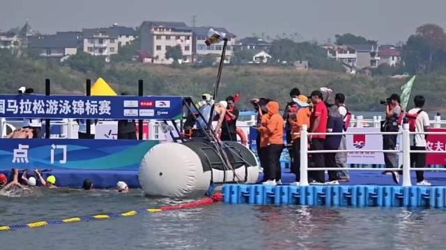孙杨十公里水上马拉松顺利完赛