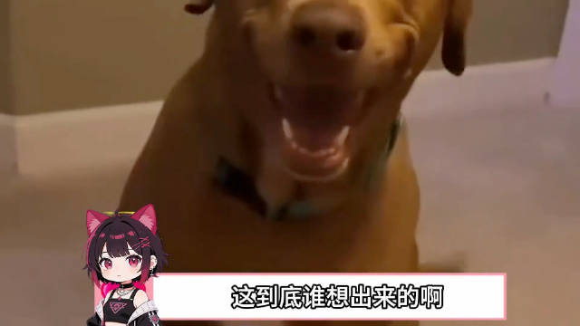 好一个无限套娃之碟中谍