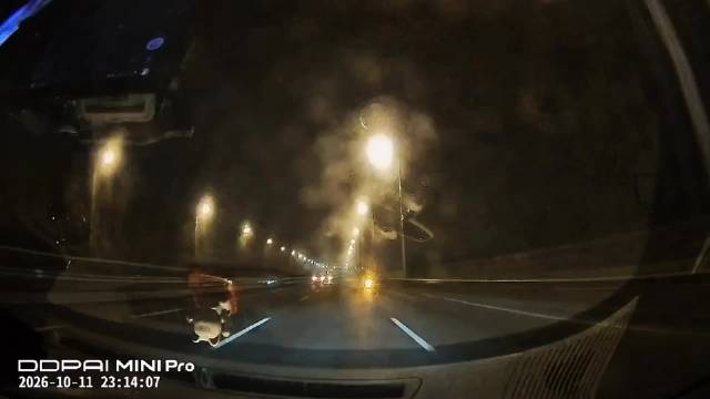 大连振兴路速度与激情嗖嗖擦身而过，此时龟速蠕动鬼们是不是想说