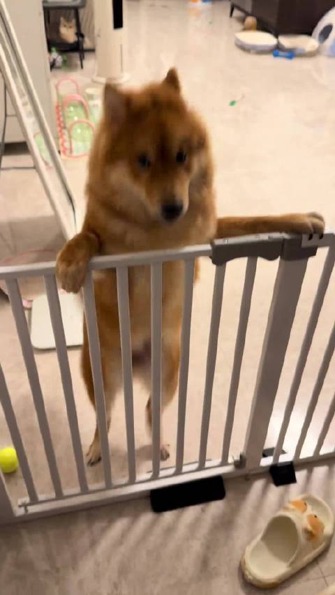 不说了 大家自己看吧 马赛