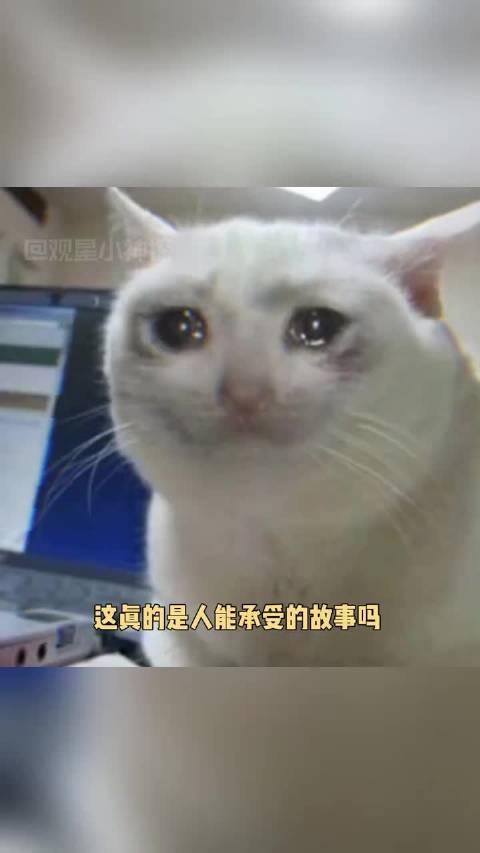 真实故事 狙击手：长官她见到我了，她很好，请求归队！