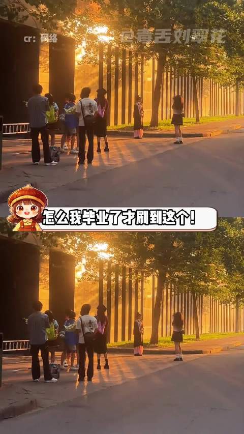 毕业过渡可以去申请见习岗