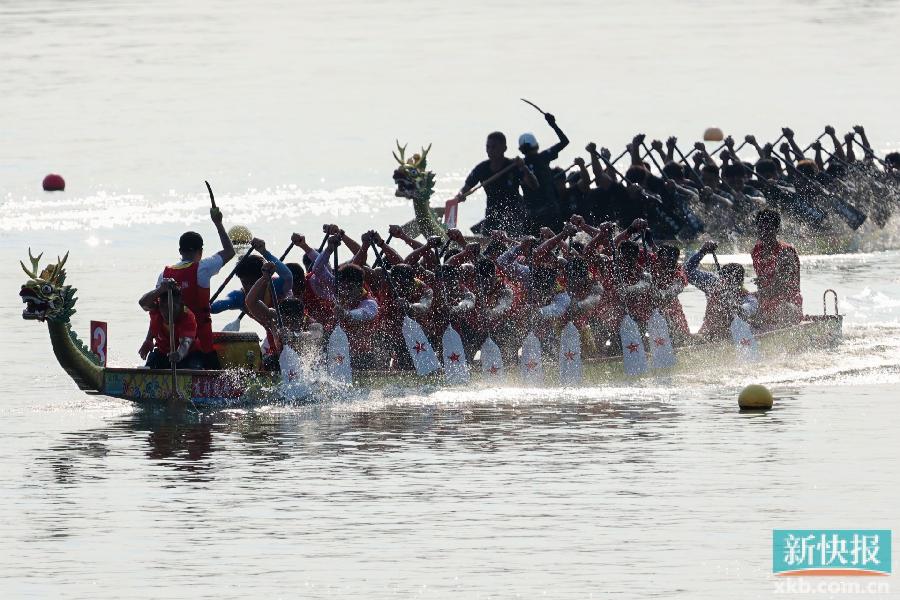34支湾区劲旅逐浪市桥河 石岗东村龙舟嘉年华上演“速度与激情”