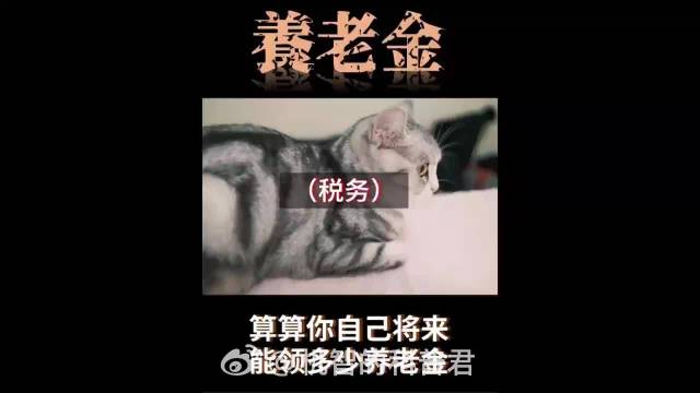 养老金并轨稳步推进，调整坚持提低控高