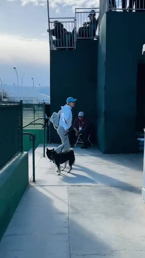 印第安维尔斯偶遇郑赛赛与王欣瑜同框出镜