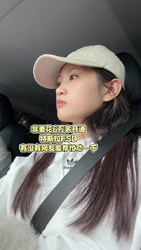 情侣因特斯拉FSD争执，男方花6万多女友吐槽被洗脑