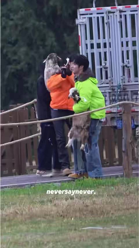 刘耀文单手抱羊像抱玩偶，小羊状态引排队想当羊