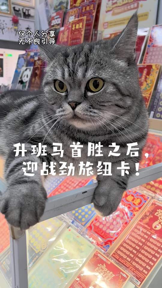 凌晨3点英超对决，考文垂坐镇主场对阵纽卡斯尔联。考文垂刚拿下赛季首胜，主场士气高涨，依靠定位球寻找破门机会，纽卡阵容回暖