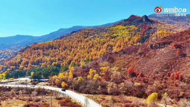 层林尽染山河如画具象化了