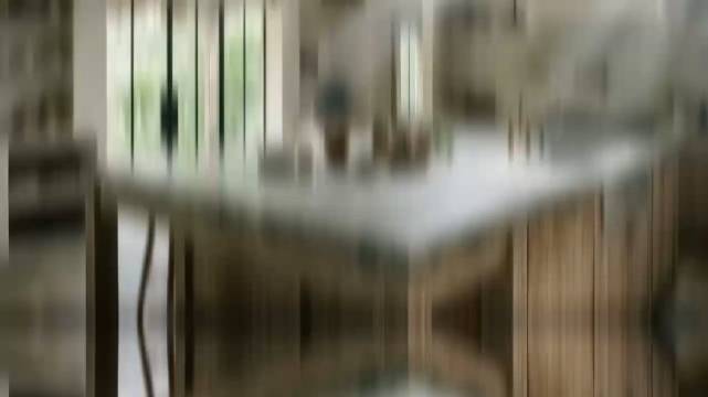 现代禅意混合住宅 庭院包裹促自然联结