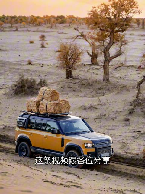 喜欢路虎卫士，既保留了探索未知的原始冲动，又给予了现代生活的全部体面