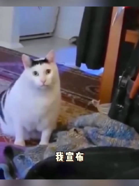 喜剧之王完全是人脉展示 蒋龙攒的这局《好多人啊》