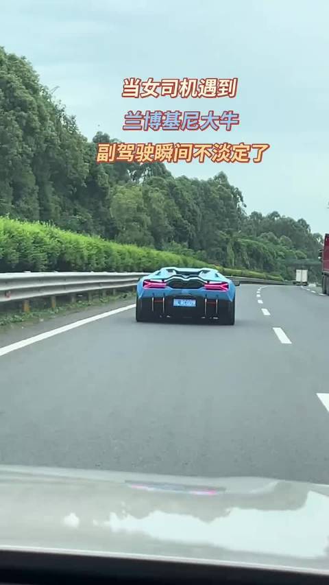 当女司机偶遇一千万的兰博基尼大牛，副驾驶失控大叫：离他远点