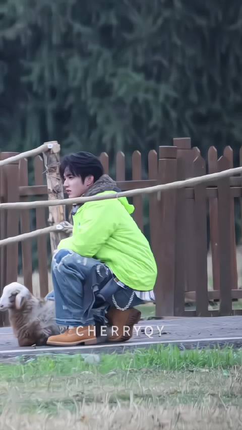 小狗和成为好朋友了吗？