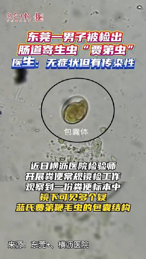 东莞一男子体内查出鞭毛虫会传染