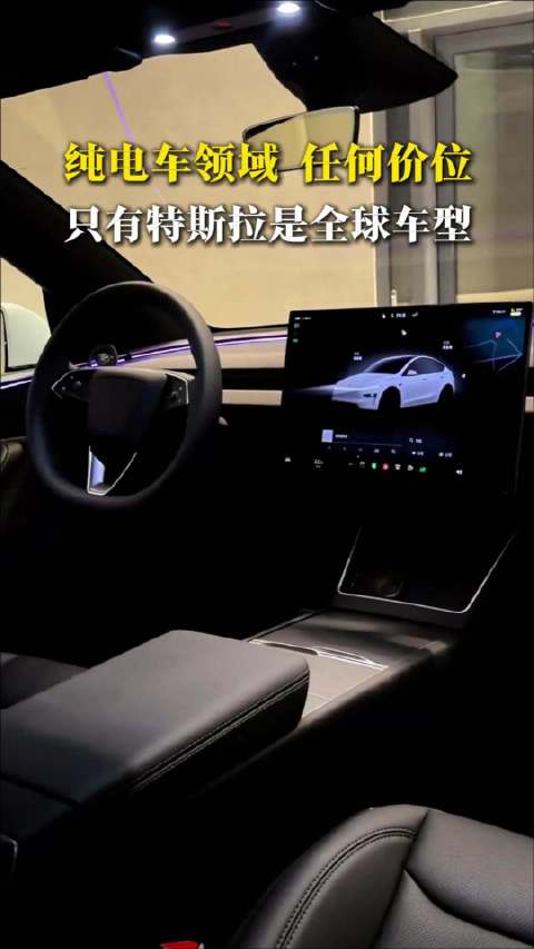 纯电车领域 任何价位 只有特斯拉是全球车型新能源车 汽车资讯