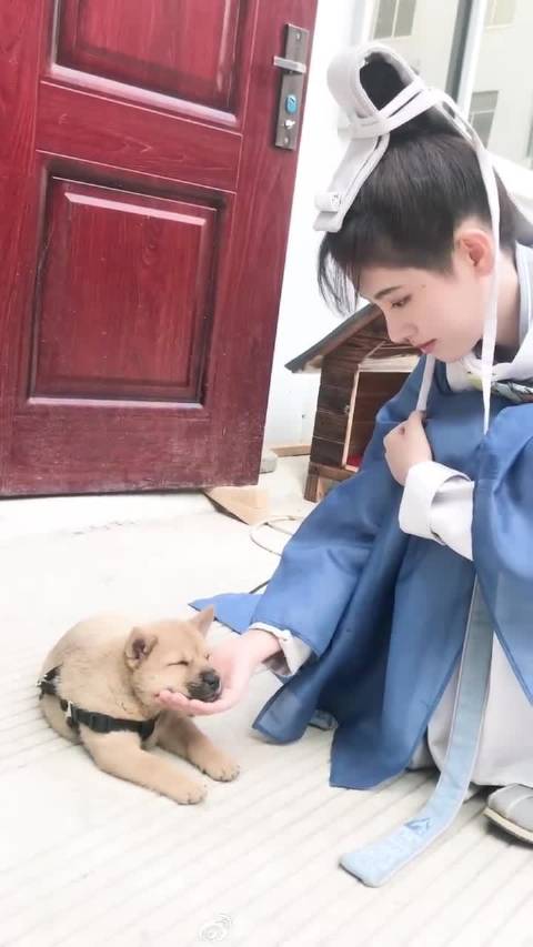 “心向往之，情缠绵绵，你是我心中永不褪色的光芒”