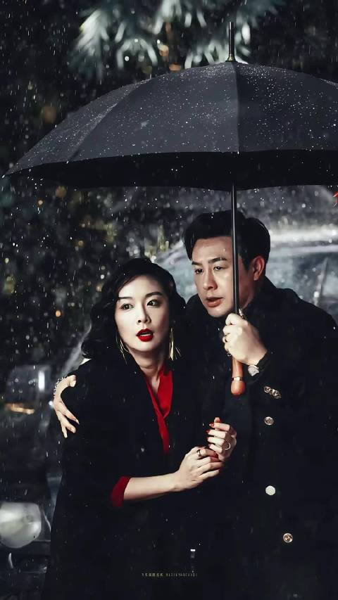 高叶自荐出演狂飙陈书婷斩获金鹰奖