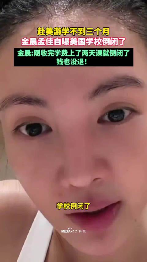 金晨自曝赴美游学刚交学费上课两天学校倒闭