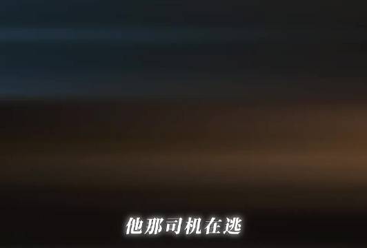 弟弟闯大祸姐姐忍痛送警局，余红旧事王佳佳张哲华结局泪目