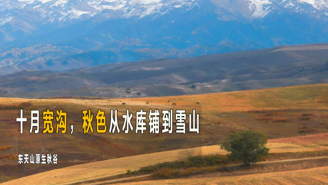 新疆东天山藏着一处安静的秋日山谷